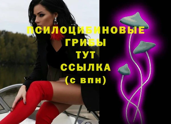 не бодяженный Верхний Тагил