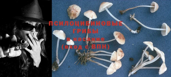 не бодяженный Верхний Тагил