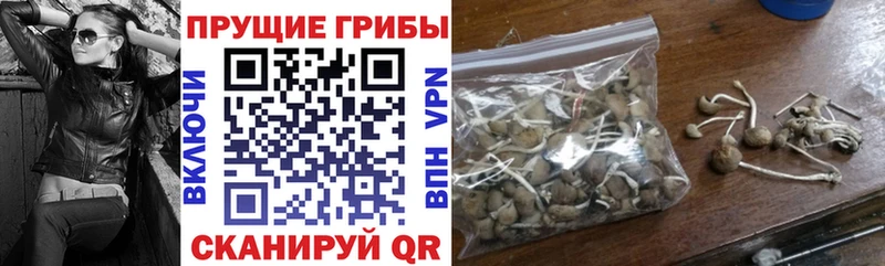 Псилоцибиновые грибы MAGIC MUSHROOMS  Купить  Неман 