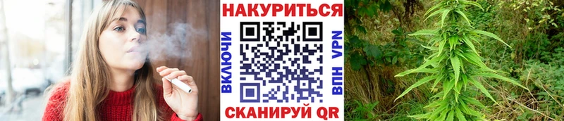 Каннабис ГИДРОПОН  Купить  Неман 